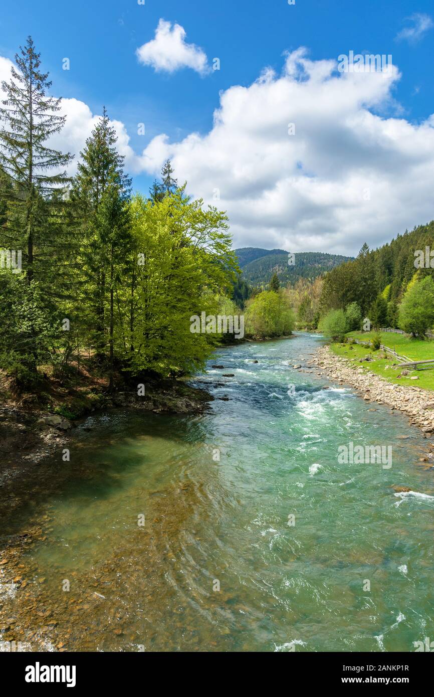 Green forest blue river hi-res stock photography and images - Alamy