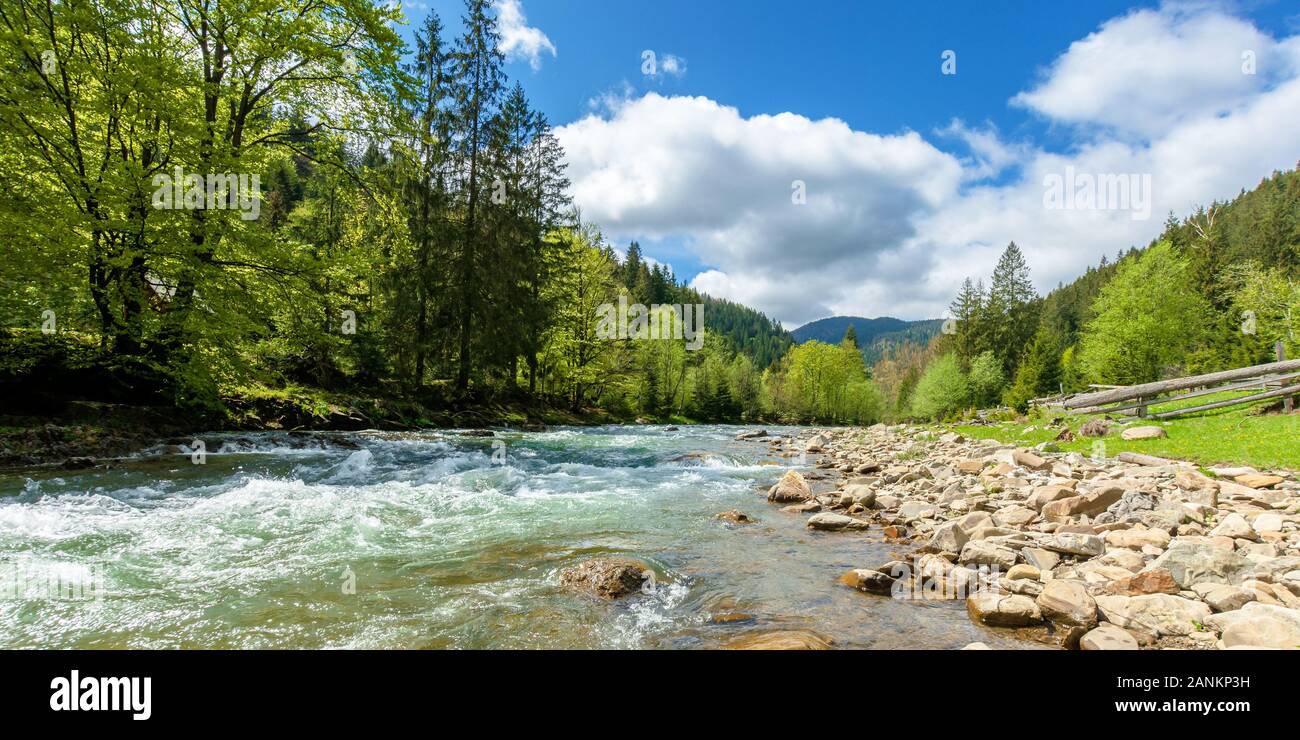 Green forest blue river hi-res stock photography and images - Alamy