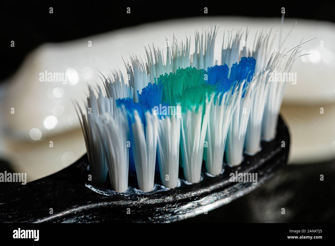 Shallow Depth of Field of a used toothbrush bristles with an out of