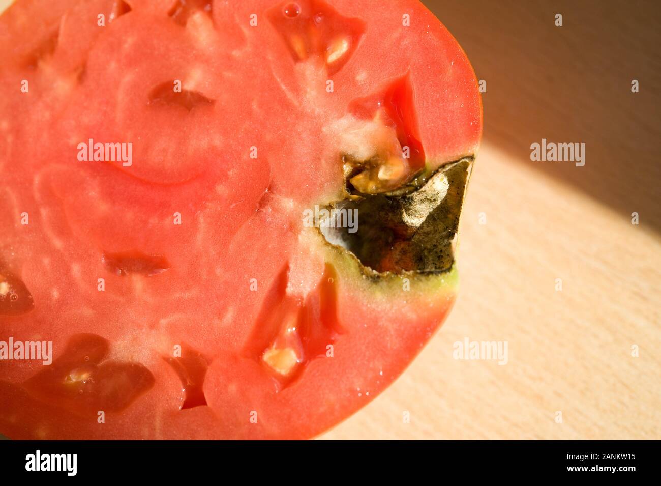 Faule Tomate - Rotten Tomato Stock Photo