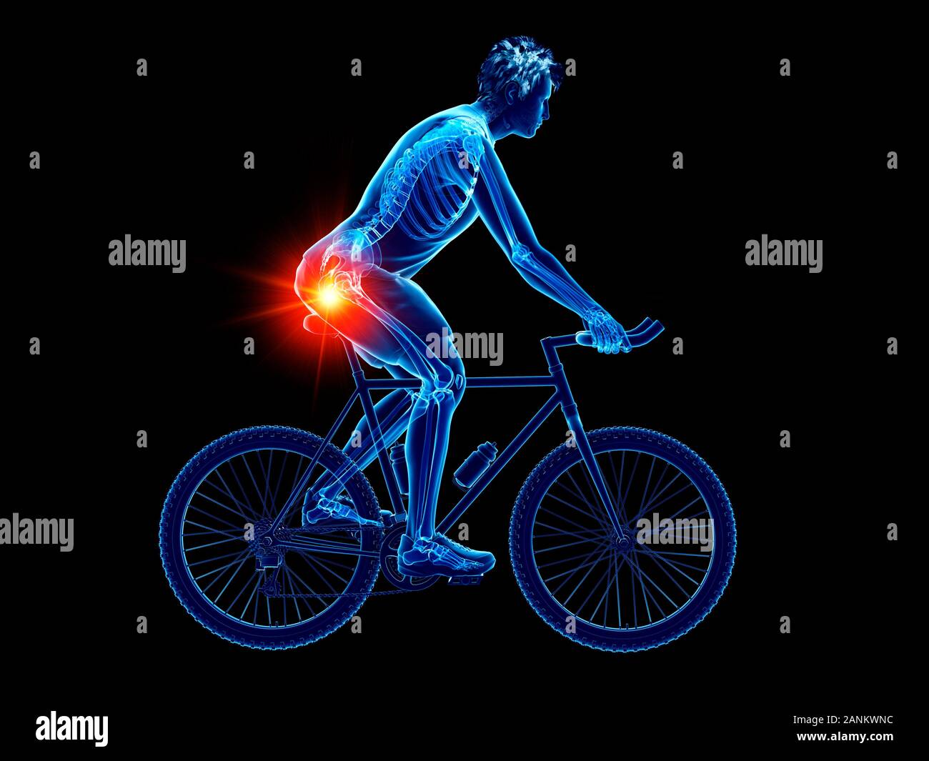 Skeleton Rides Mtb Skeleton riding bicycle hi-res stock photography and images - Alamy