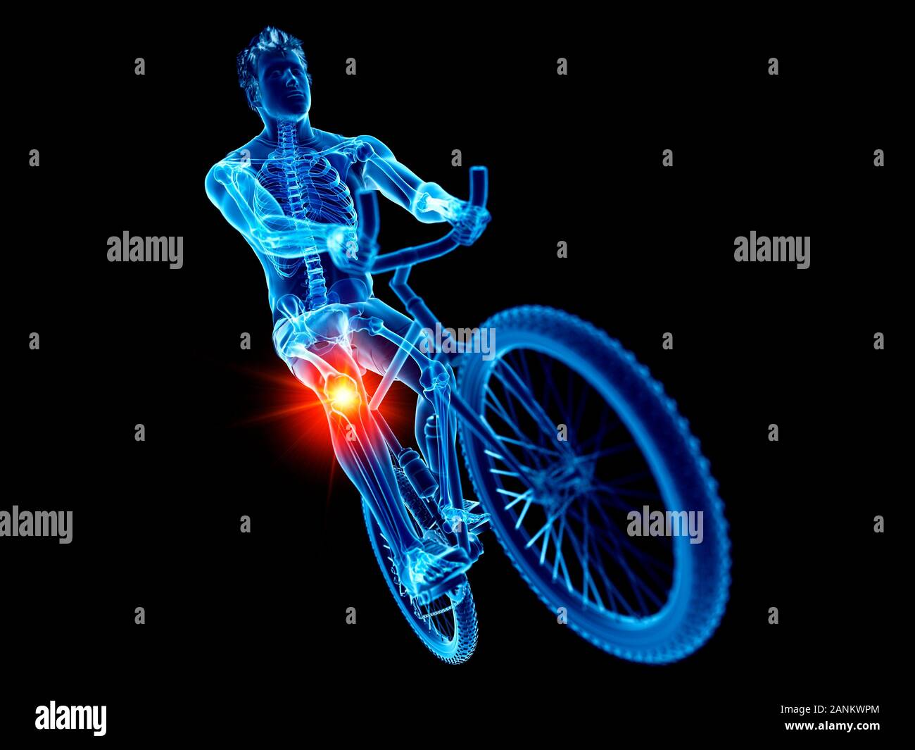 Skeleton Rides Mtb Skeleton riding bicycle hi-res stock photography and images - Alamy