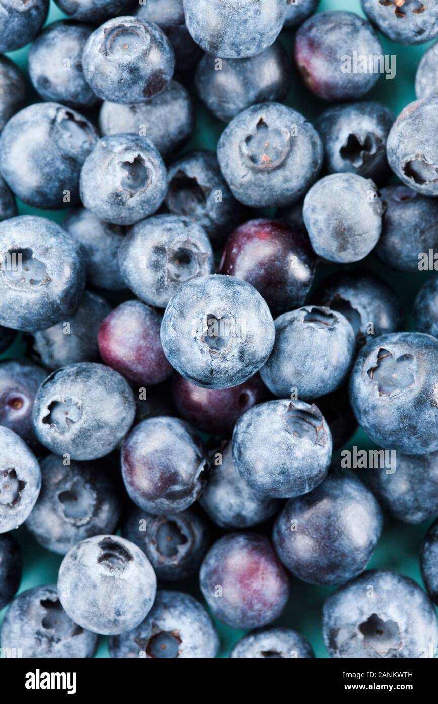 Close-up of fresh blueberries Stock Photo