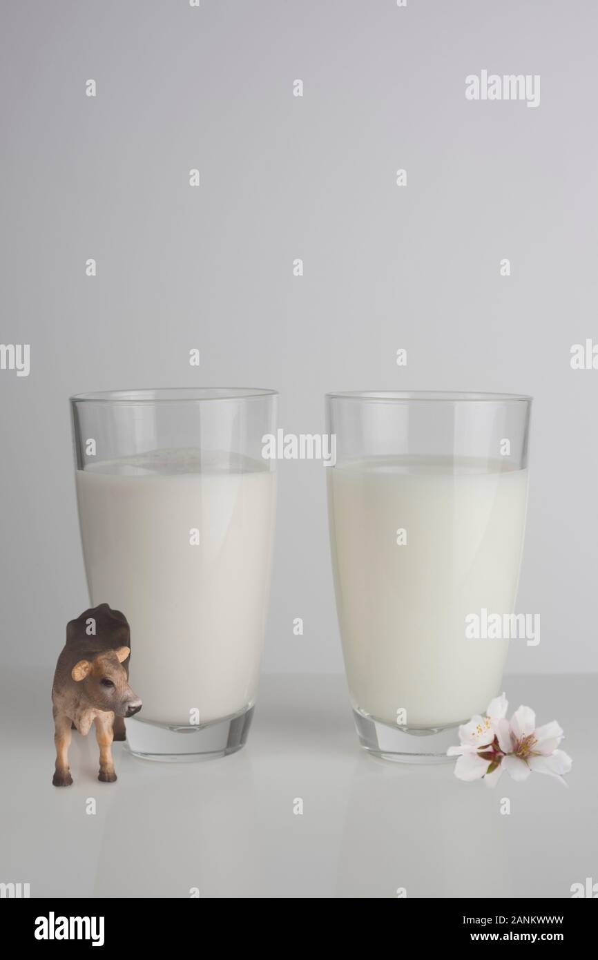 A glass of cow milk and a glass of almond milk Stock Photo Alamy