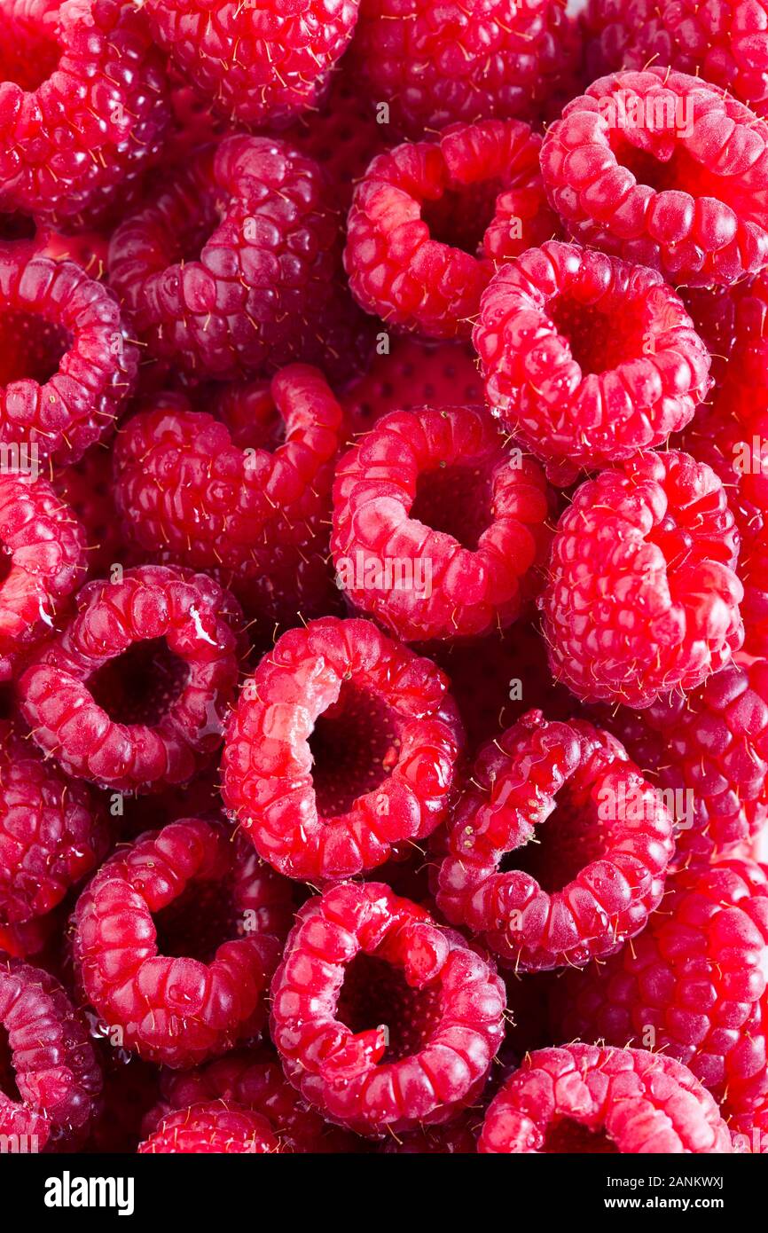Studio close up fresh hi-res stock photography and images - Alamy