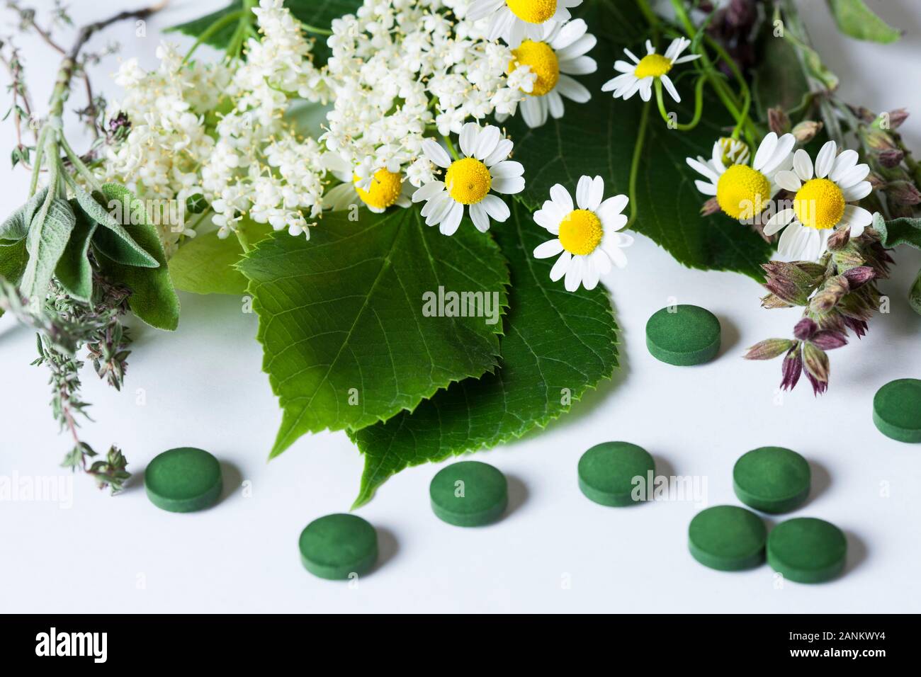 Medicinal plants and herbal remedies Stock Photo