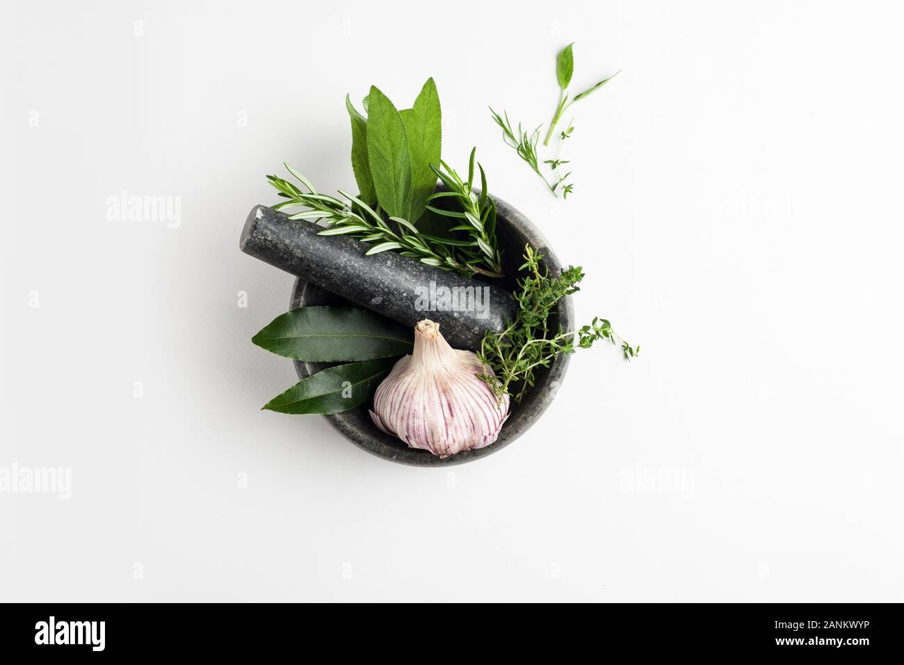 Mortar and pestle with garlic and herbs Stock Photo Alamy