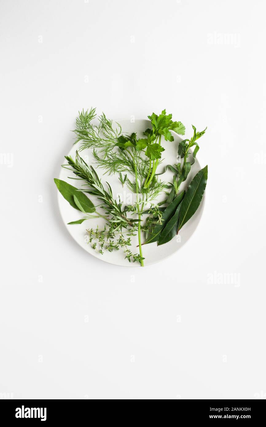Culinary herbs Stock Photo