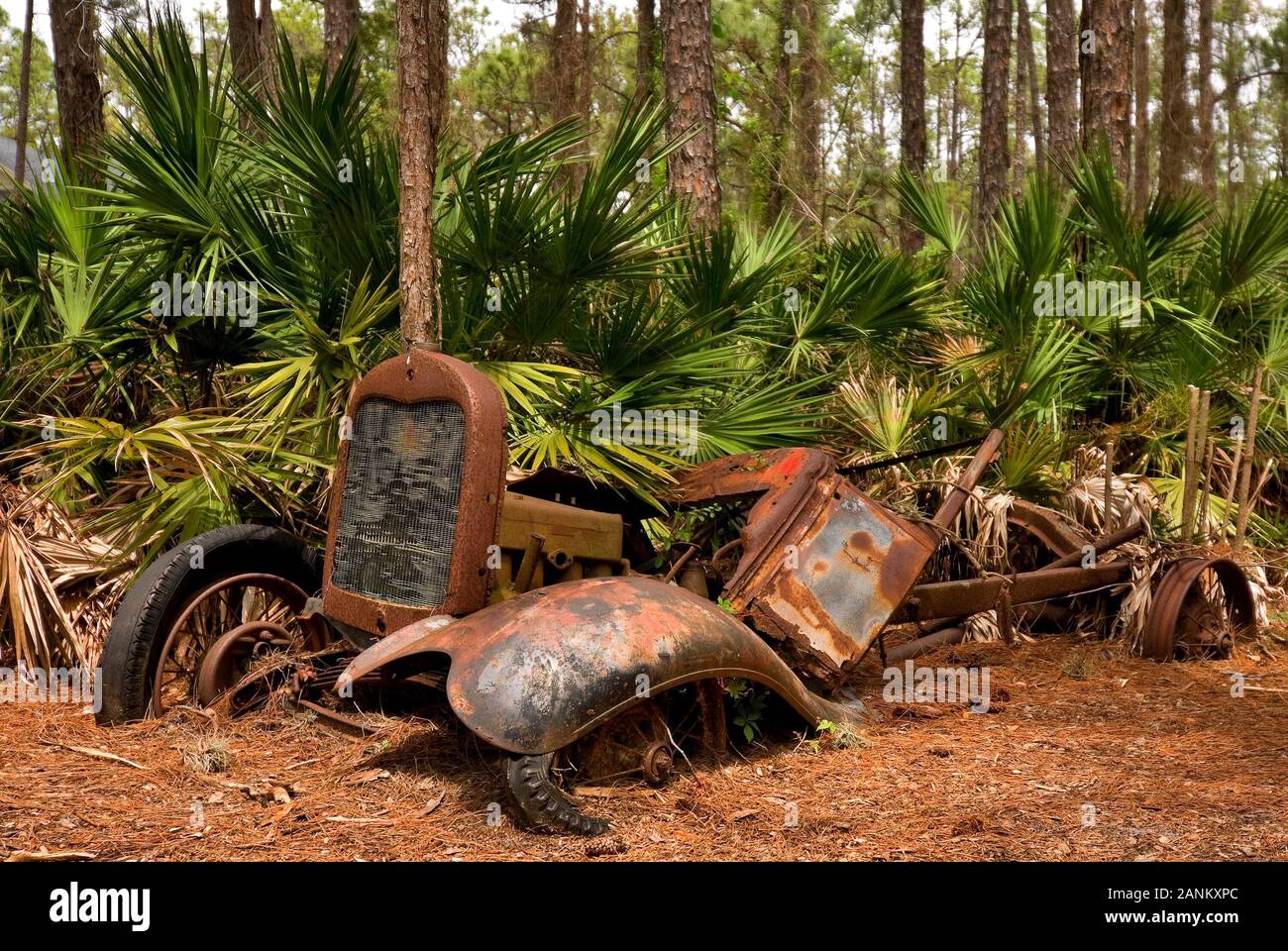 Abandoned old vehicle in a Florida forest Stock Photo