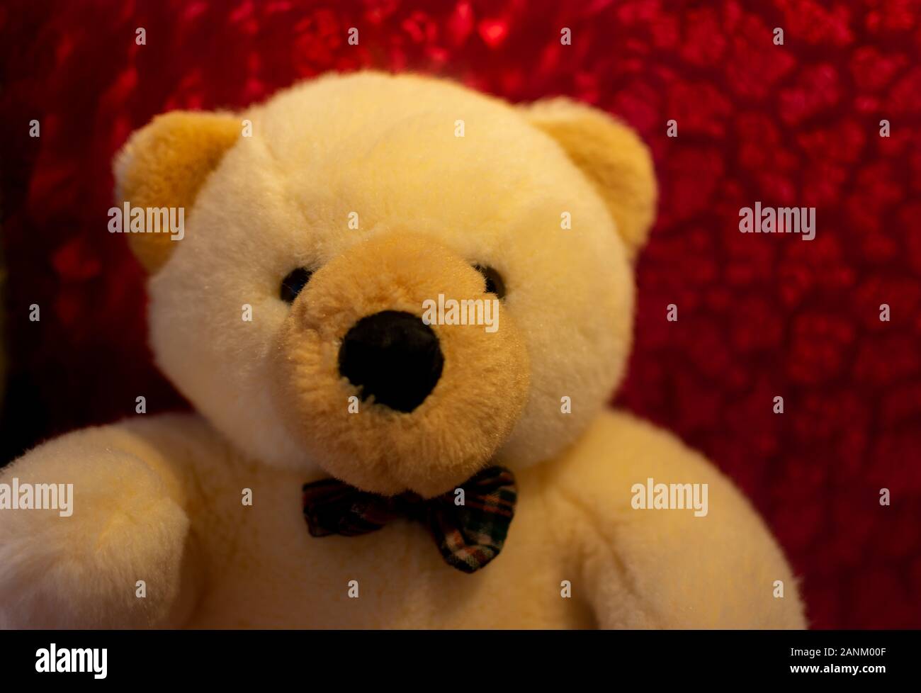 Cute Loving Teddy Bear For Teddy Day And Valentine S Day Stock Photo Alamy