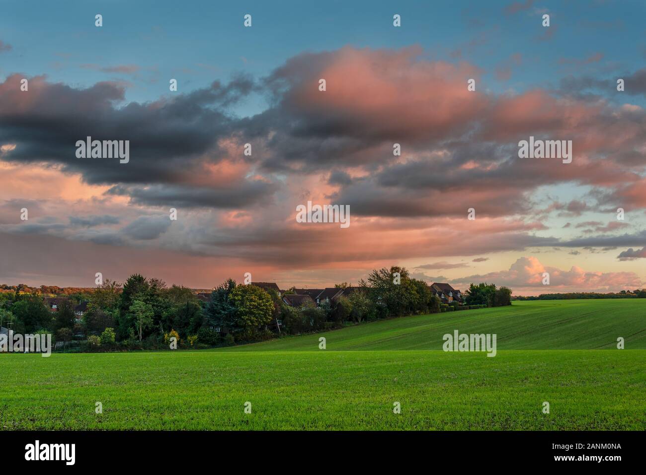 Agricultural farmland of Hertfordshire Stock Photo