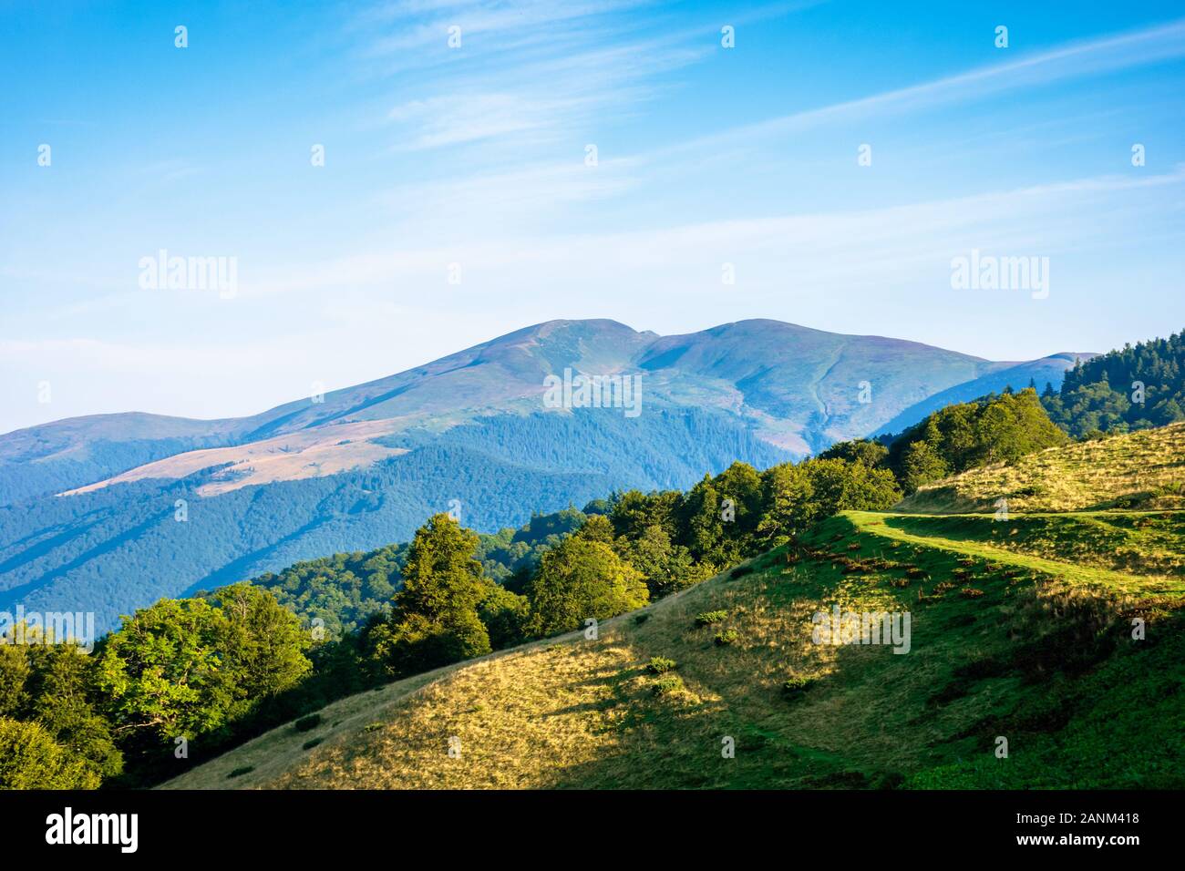 Beautiful scenery forest on hi-res stock photography and images - Alamy
