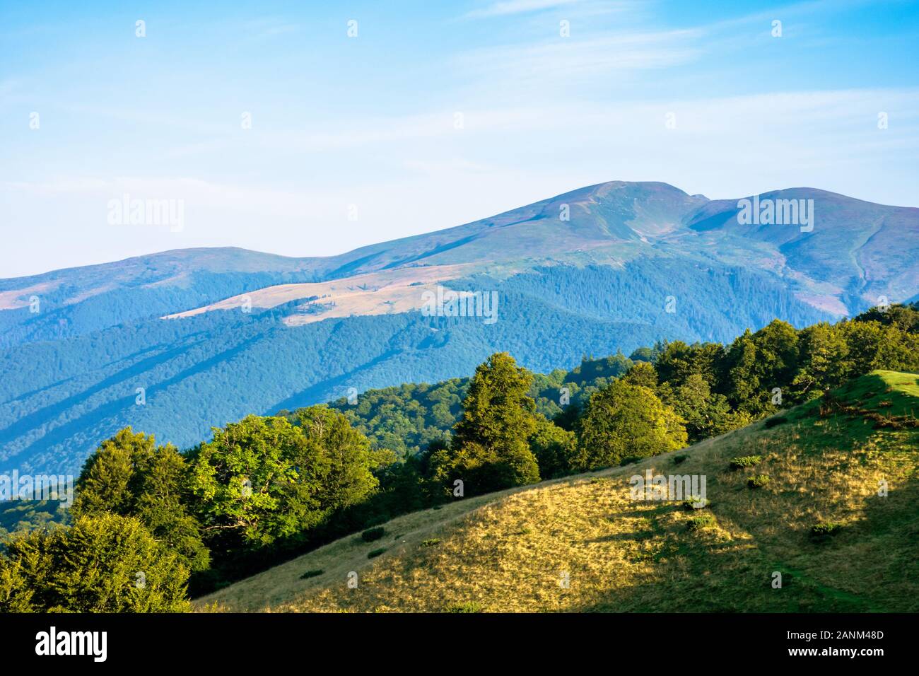 Beautiful scenery forest on hi-res stock photography and images - Alamy