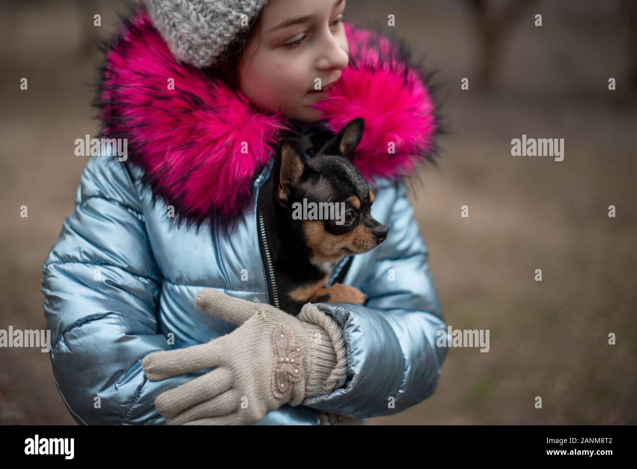 winter hats for chihuahuas