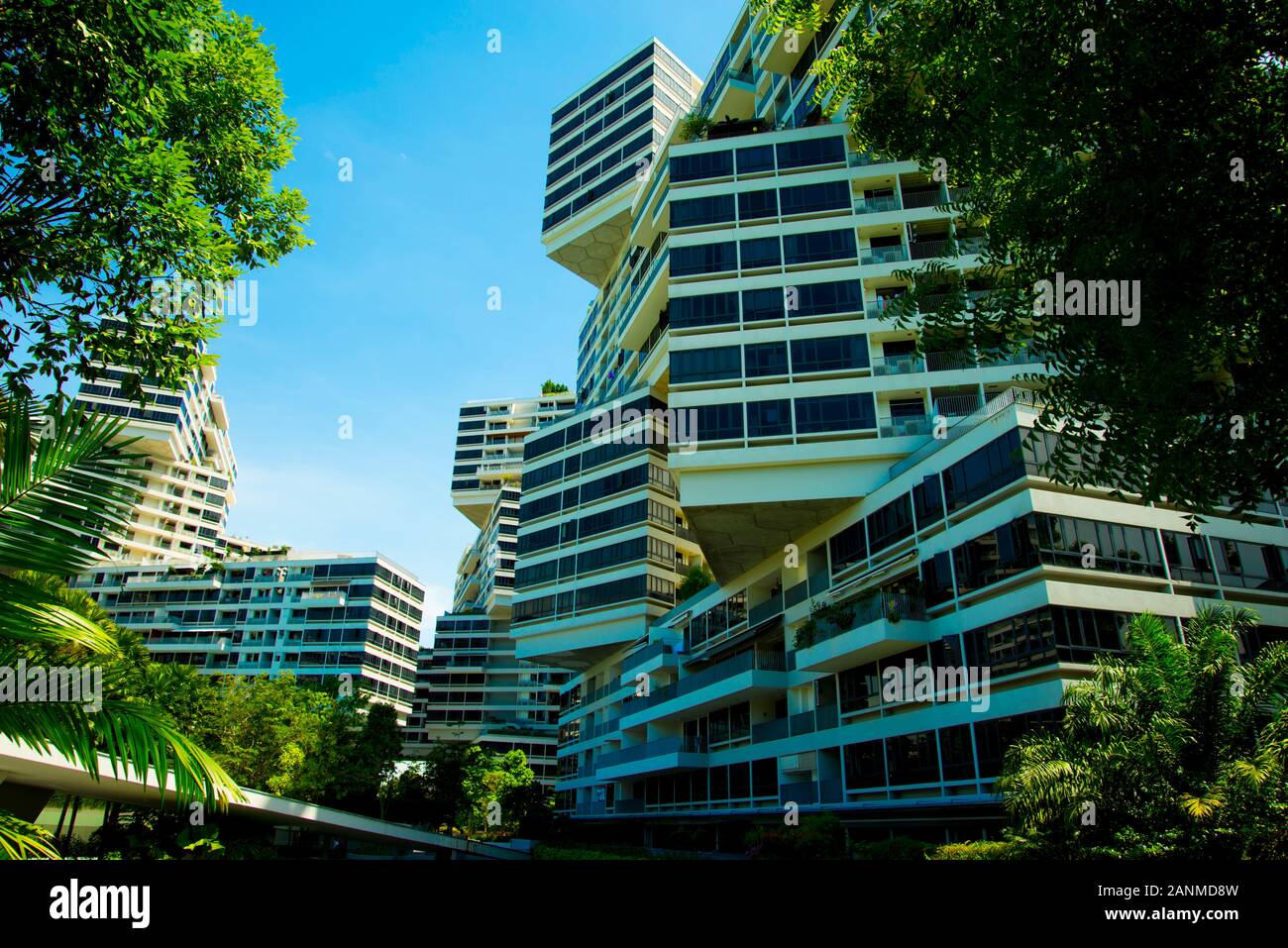 Modern Public Apartments - Singapore Stock Photo