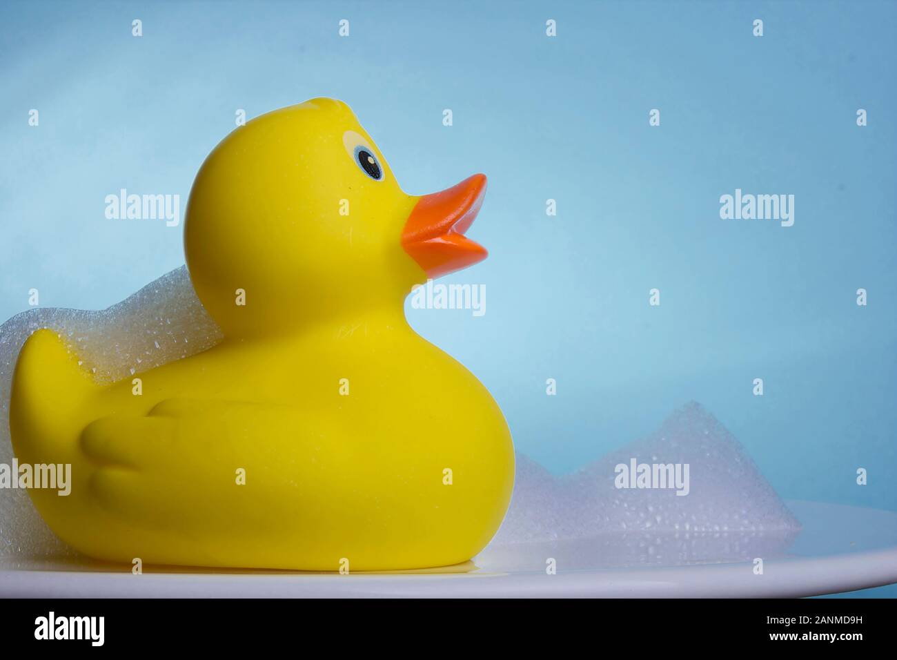 Yellow rubber duck in the foam bath Stock Photo - Alamy