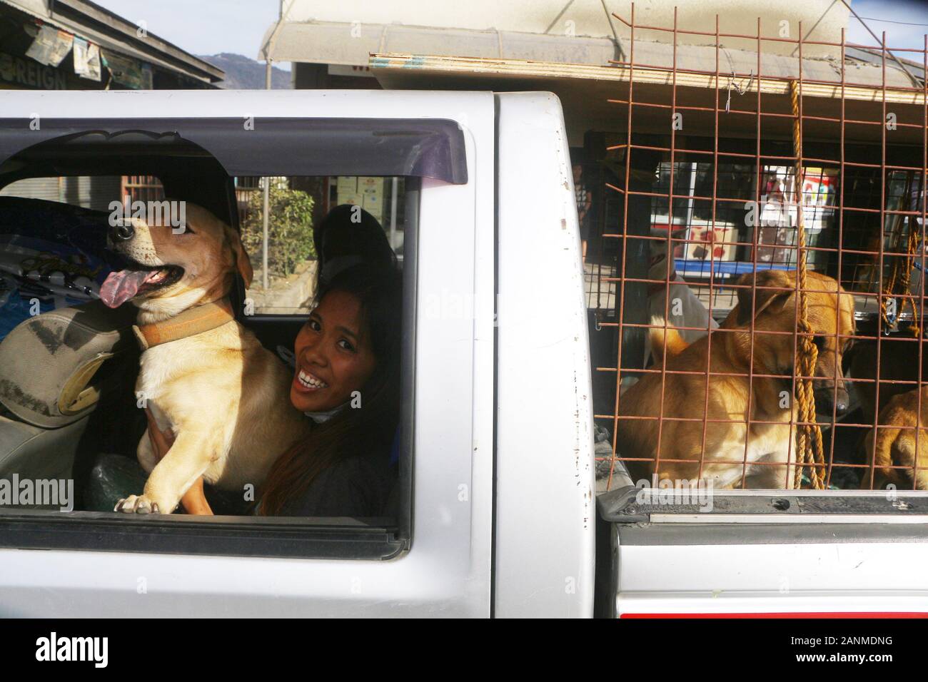 Can My Dogs Ashes Be Buried With Me