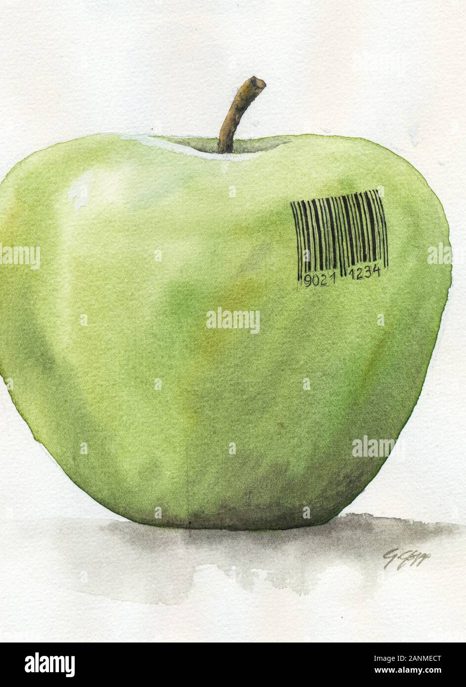 Gentechnik, Apfel, Illustration von Gerhard Gepp - Genetic Engineering Stock Photo