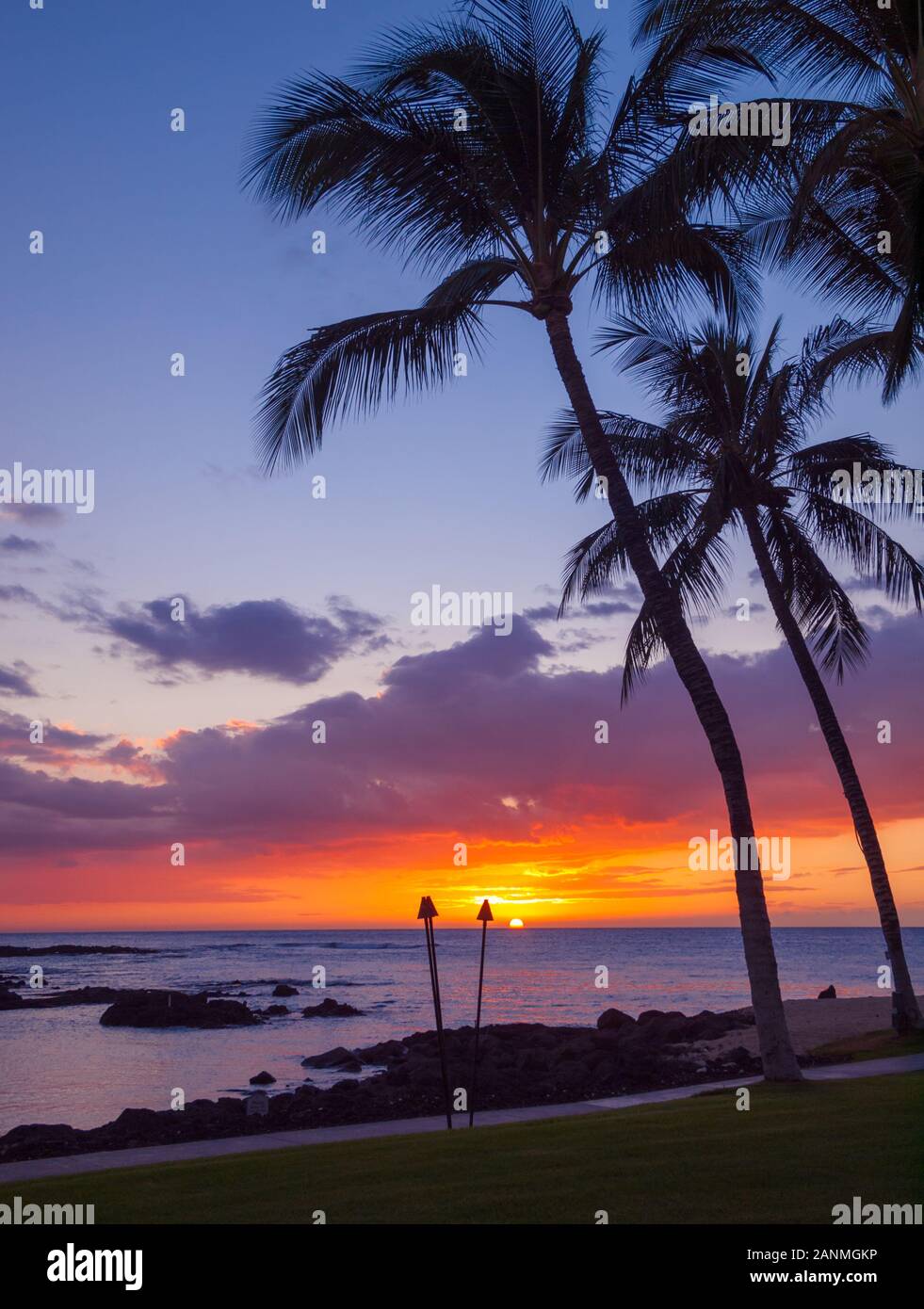 A beautiful sunset and silhouetted coconut palm trees as seen from Pauoa Bay at the Fairmont Orchid, Kohala Coast, Hawaii. Stock Photo