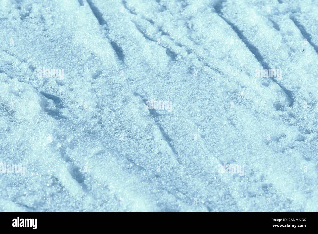 Texture Spring Blue Wet spring snow texture close up. Natural abstract background blue ...
