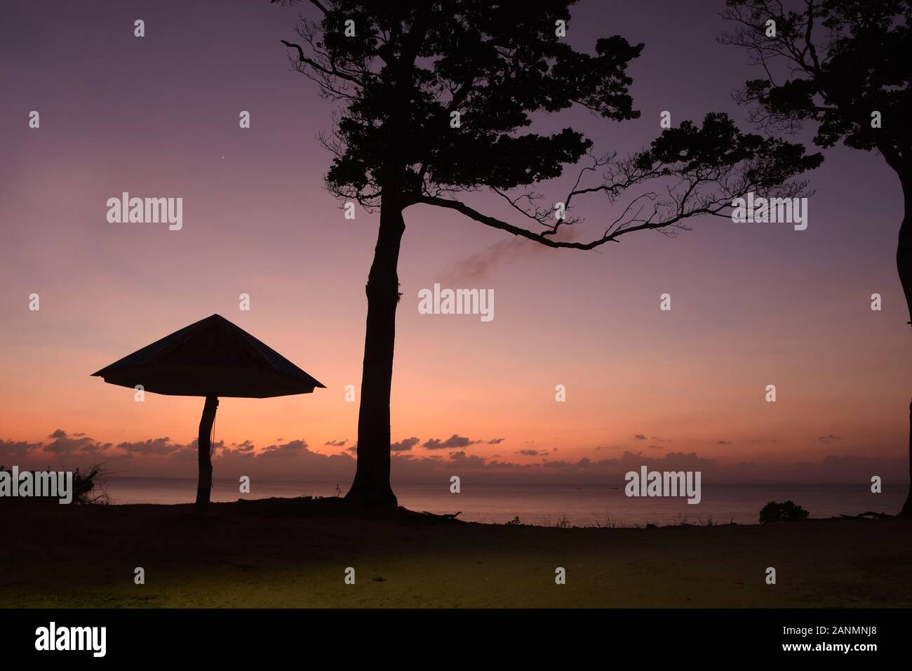 Silhouette of Beach umbrella and trees at the beach during sunset time. Stock Photo