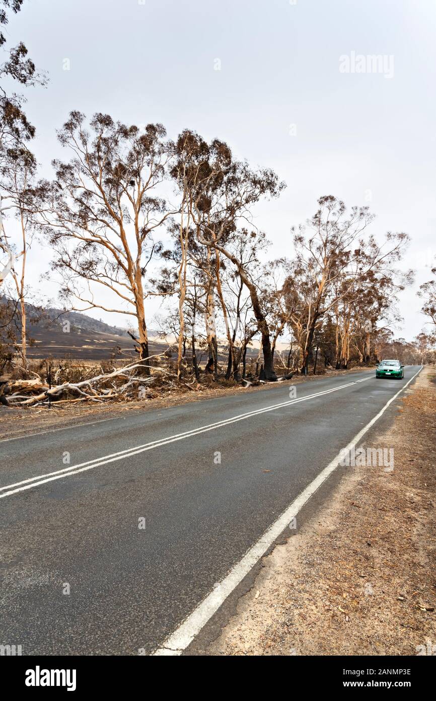 Lexton Australia /  Aftermath of bushfires in Lexton Victoria Australia. The recent bushfires surrounding Lexton in rural Victoria burnt over 2700 hec Stock Photo