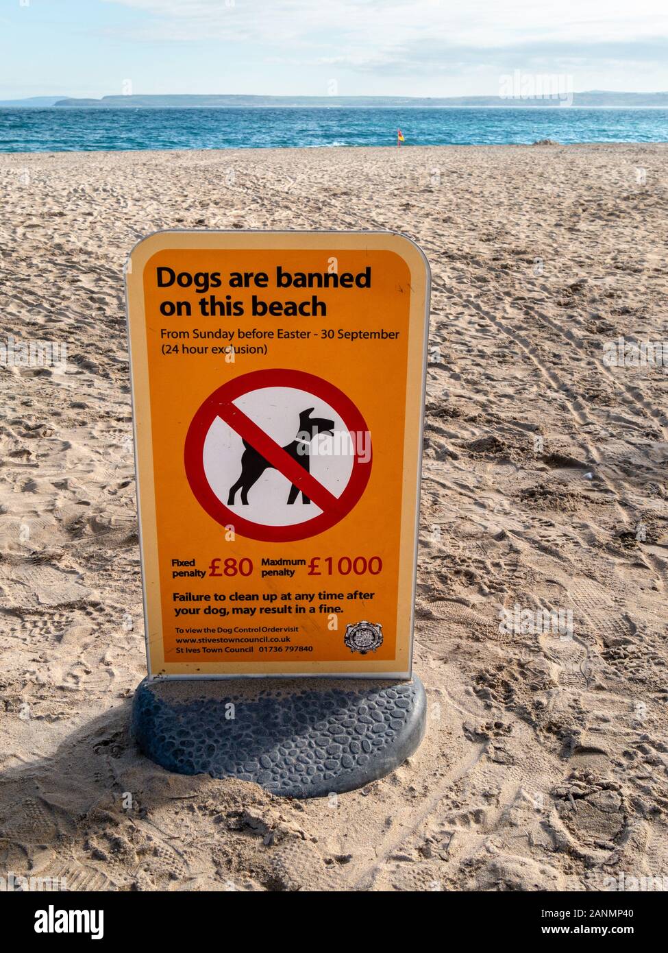 No dogs on beach sign, Porthminster Beach, St Ives, Cornwall, England, UK Stock Photo