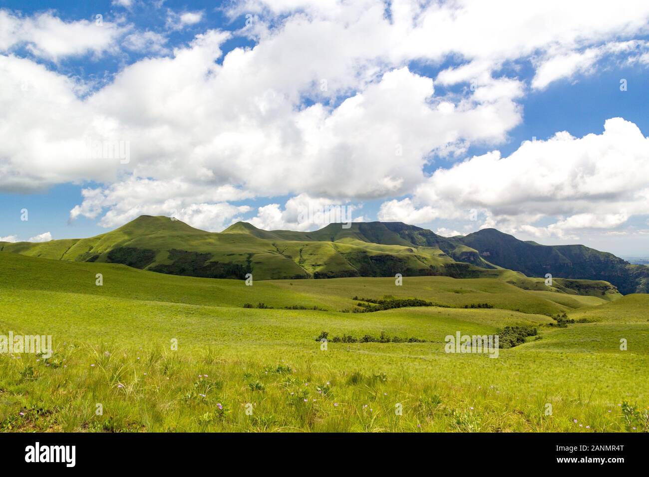 View over lush green meadows and soft green mountains, Drakensberg, Giants Castle Game Reserve, South Africa Stock Photo