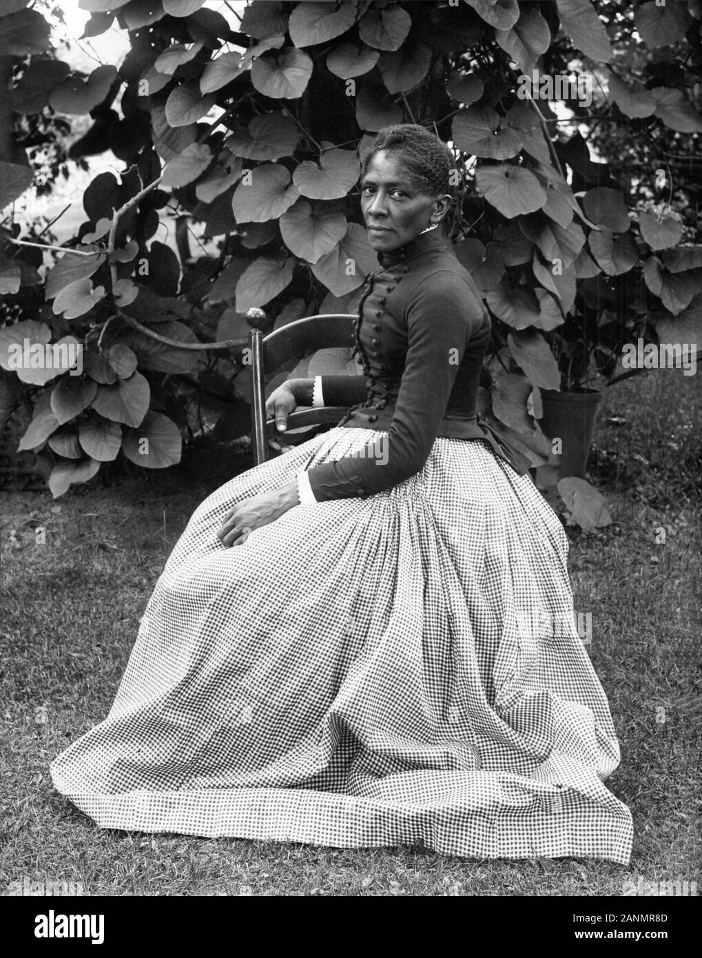Susie Harriet High Resolution Stock Photography And Images Alamy