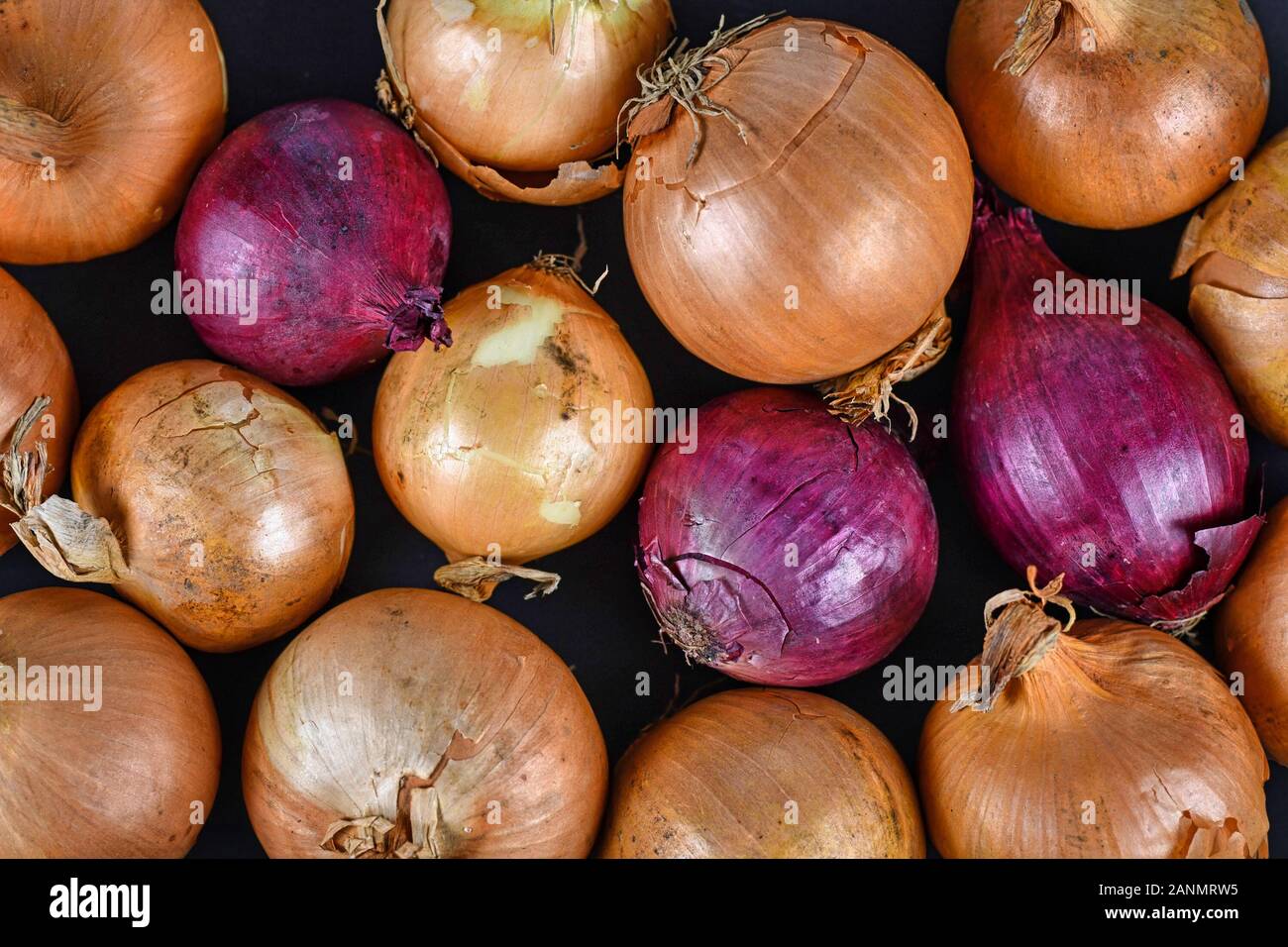 Closeup yellow red onions hi-res stock photography and images - Alamy