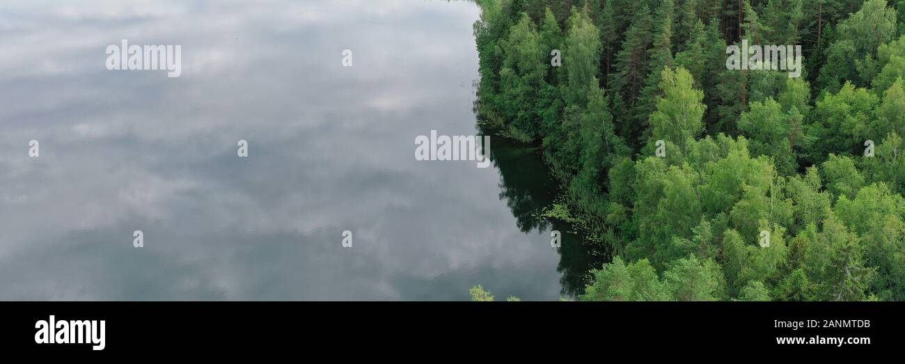Tree trees wood topview hi-res stock photography and images - Alamy