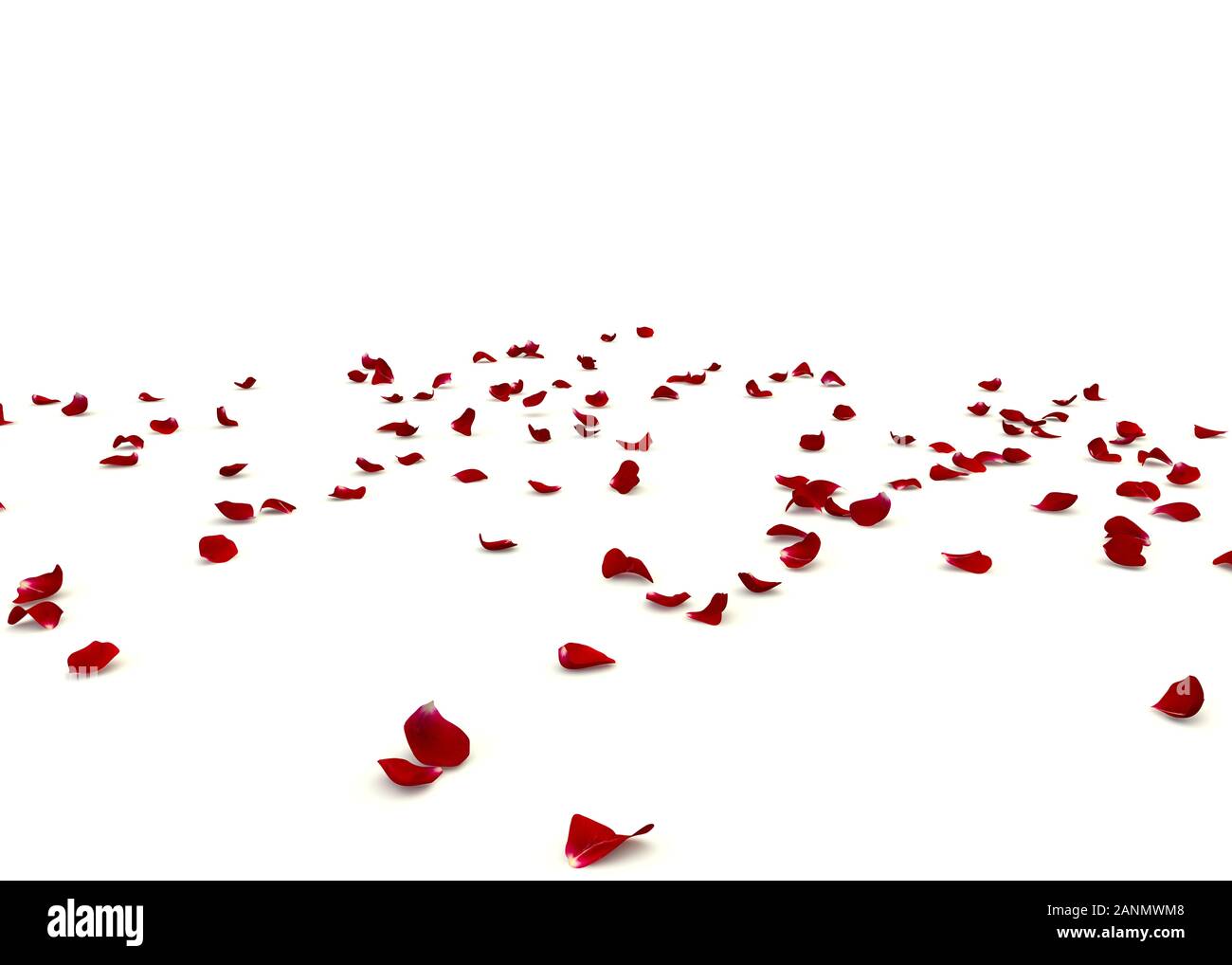 Pink petals on the floor Cut Out Stock Images & Pictures Alamy