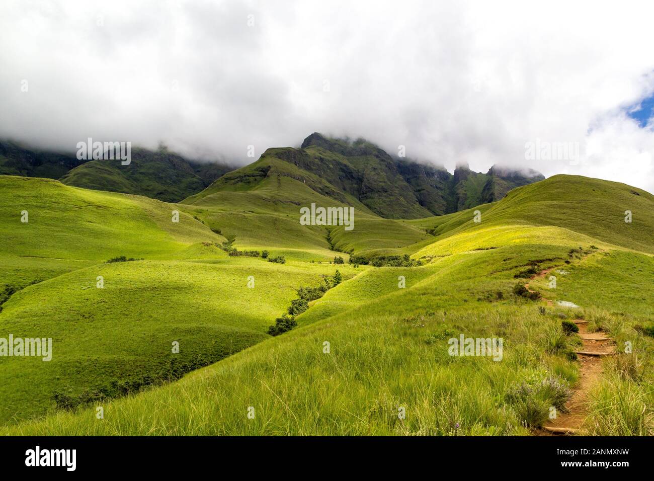 Small path leading to Blindman's Corner, green meadows and soft green mountains, Monk's Cowl, Champagne Castle and Cathkin Peak shrouded in clouds, Dr Stock Photo