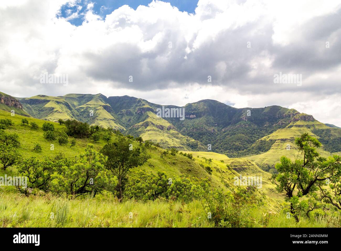 Panoramic view over green trees and mountains, Giants Castle Game Reserve, Drakensberg, South Africa Stock Photo