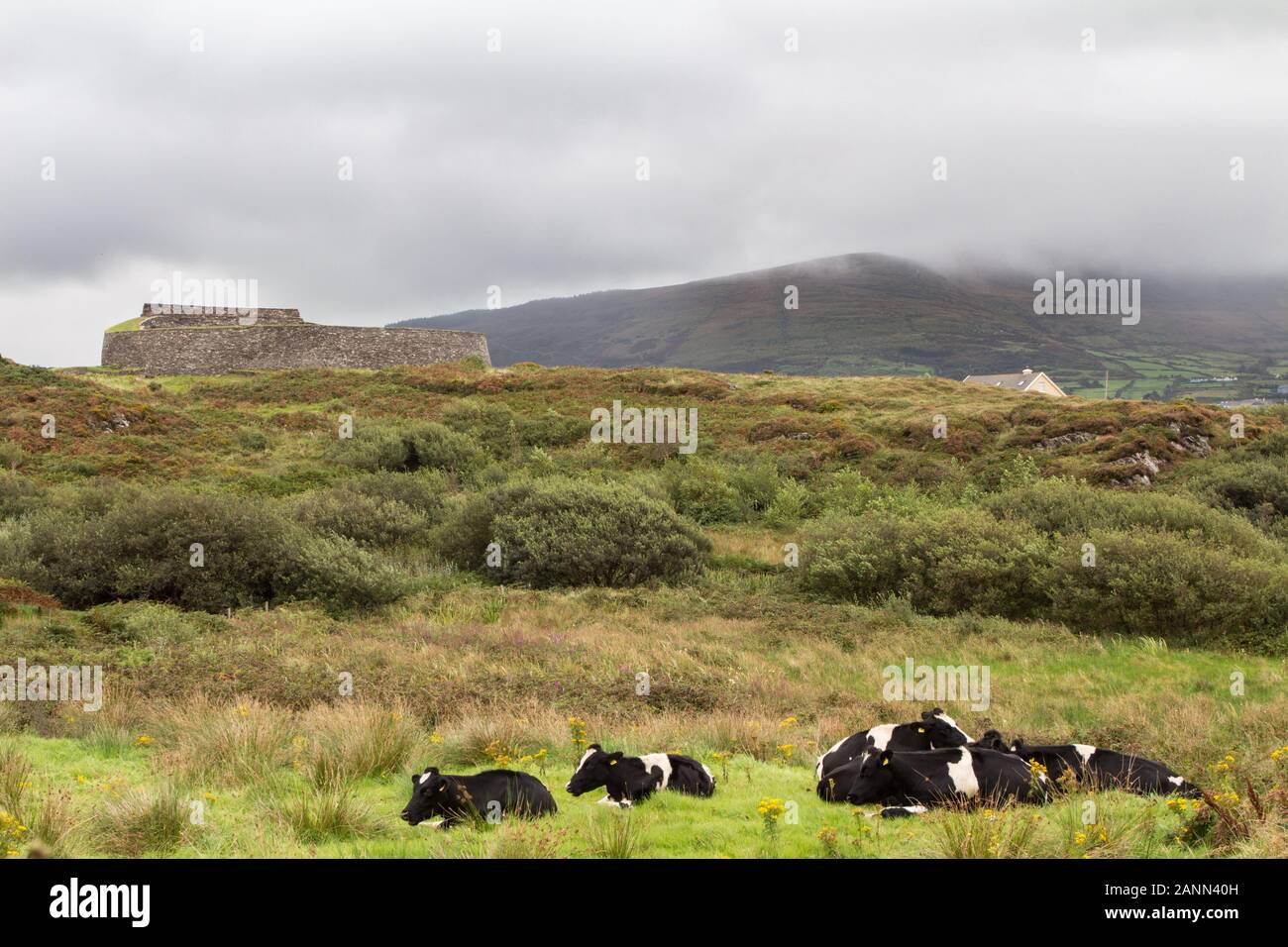 Ring of kerry ireland Stock Photo