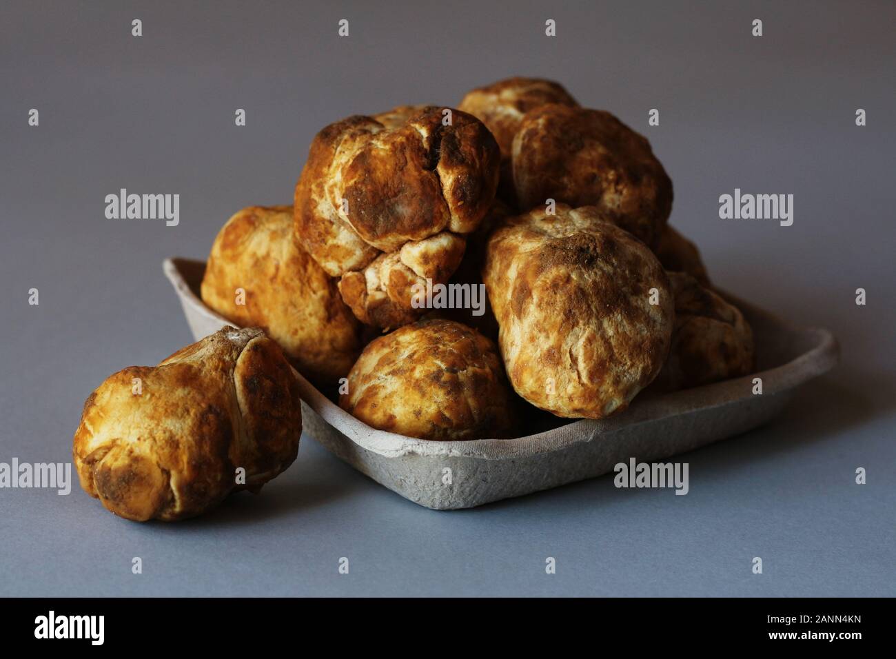 Desert truffles from Kuwait, Saudi Arabia, Iraq and Iran Stock Photo