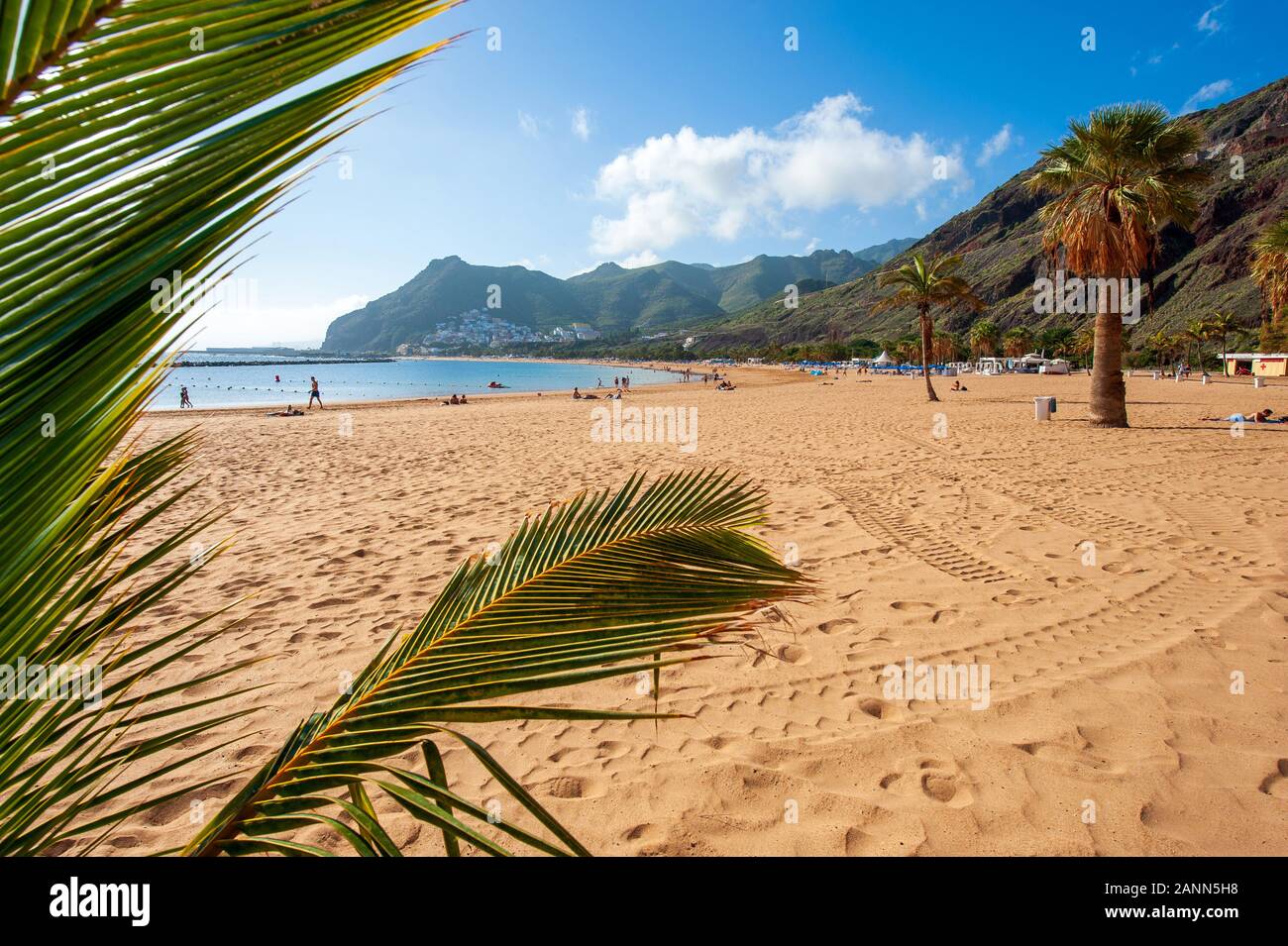 Playa de Las Teresitas is the most beautiful beach on the Canary island Tenerife. The white sand was shipped from the Sahara desert. Stock Photo