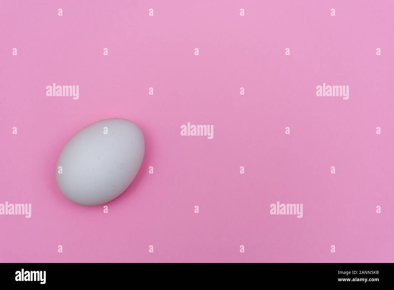 Easter holiday flat lay with white egg on a solid pink pastel background with copy space. Stock Photo