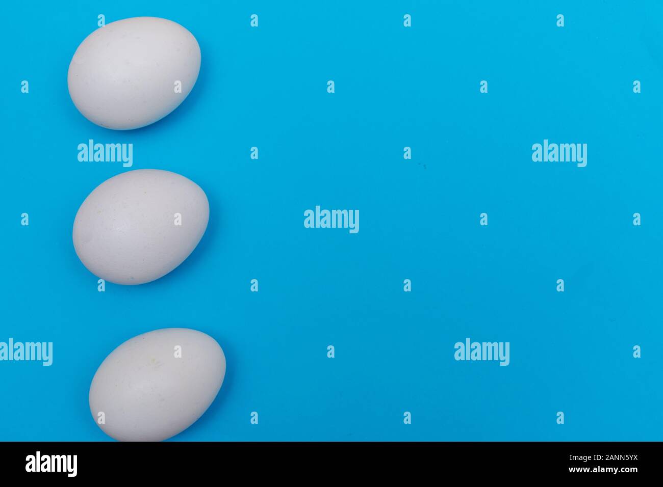 Three Easter holiday flat lay with white egg on a solid bright blue vibrant background with copy space on right. Stock Photo