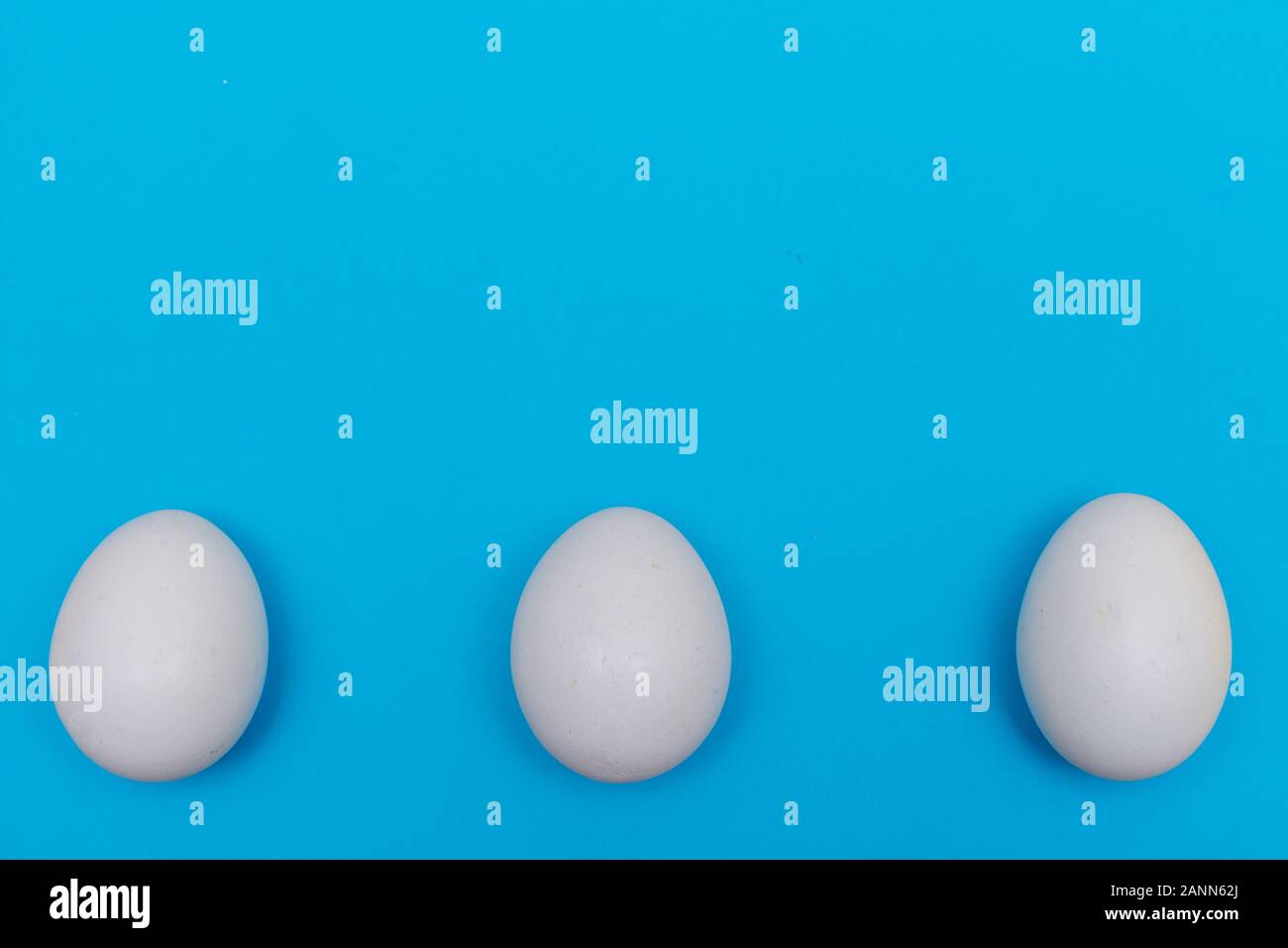 Three Easter holiday flat lay with white egg on a solid bright blue vibrant background with copy space on top. Stock Photo