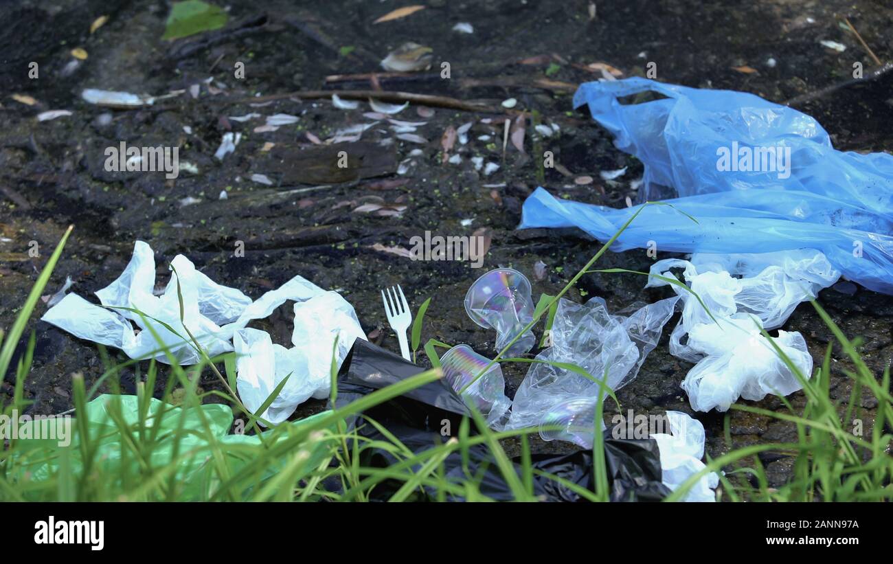 Dirty lake with toxic plastic waste, harmful impact of human living, environment Stock Photo Alamy
