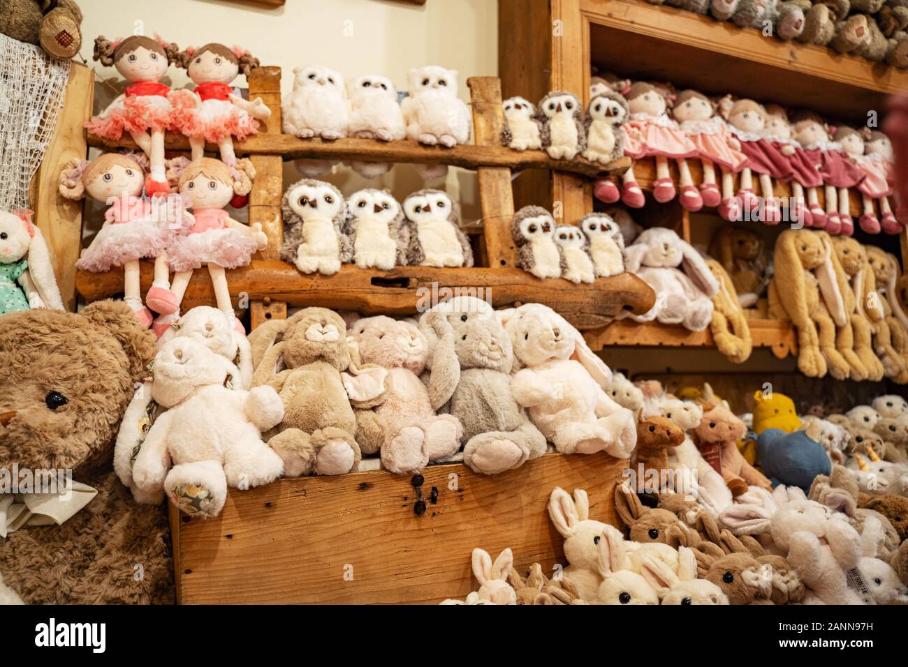 Lots of cute fluffy brown and beige teddy bears on a store counter and shelves. Toys background. Stock Photo