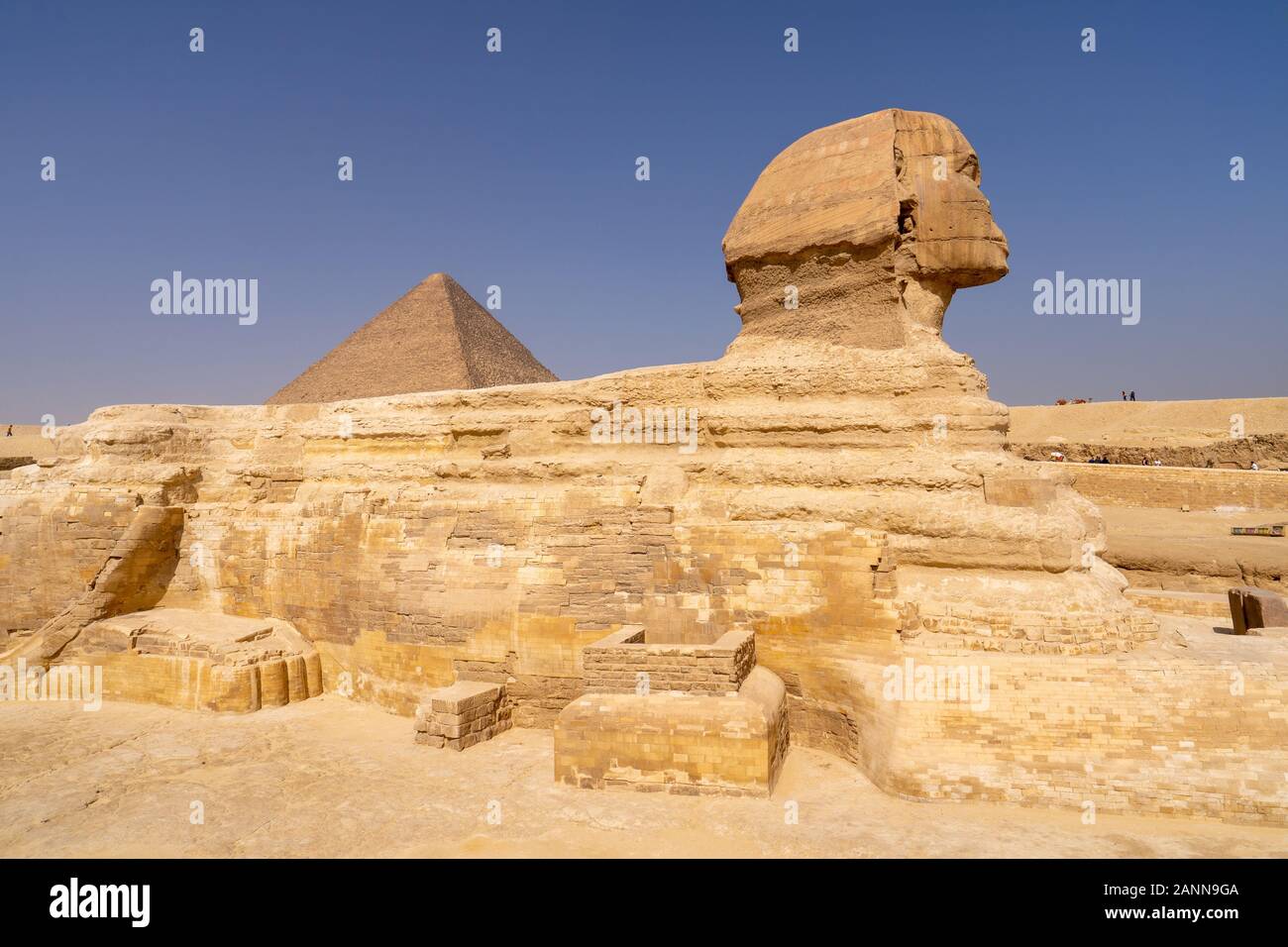 Great Sphinx of Giza, with the Great Pyramid in the background Stock ...