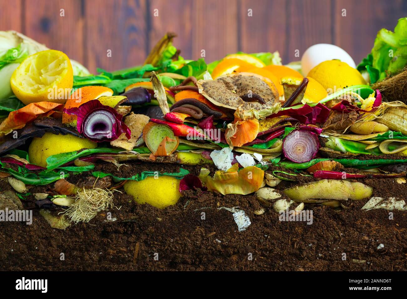 Earthwoms living in a colorful compost heap consisting of rotting kitchen leftovers Stock Photo