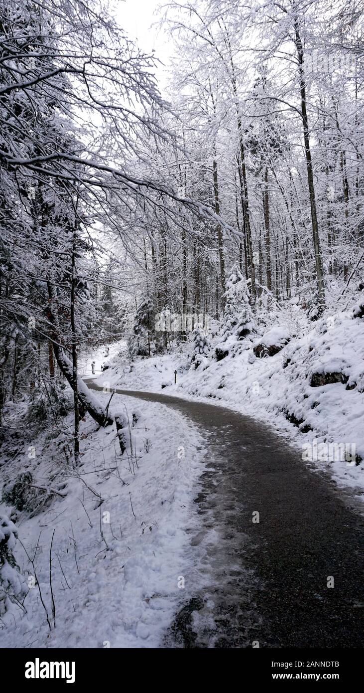 Walkway hiking to the old salt mine of Hallstatt pass the pine forest and Winter snow mountain landscape outdoor adventure, Austria Stock Photo