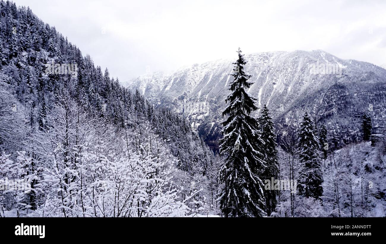 Scenery of forest valley dreamscape Hallstatt winter snow mountain landscape leads to the old salt mine of Hallstatt, Austria Stock Photo