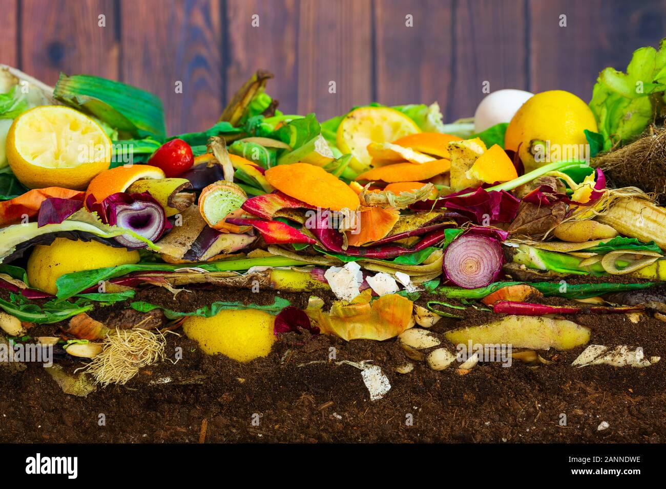 Colorful compost heap of rotting kitchen vegetables consisting of lemon