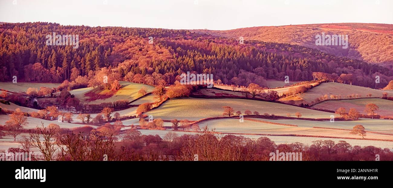 Somerset dawn moorland hi-res stock photography and images - Alamy