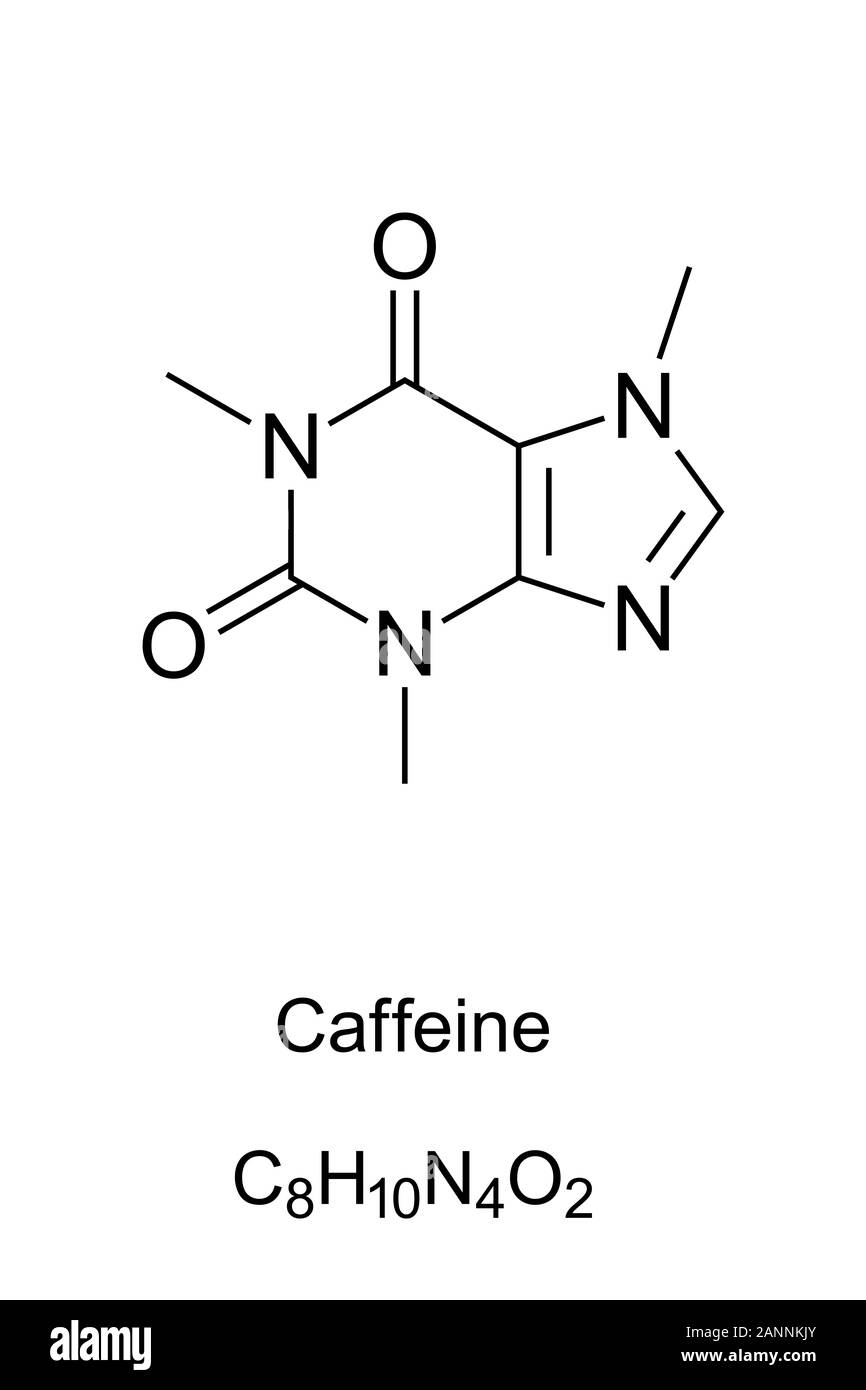 Caffeine molecule skeletal formula. 2D structure of C8H10N4O2, a methylxanthine alkaloid, also theine. Psychoactive drug in coffee, cola and tea. Stock Photo
