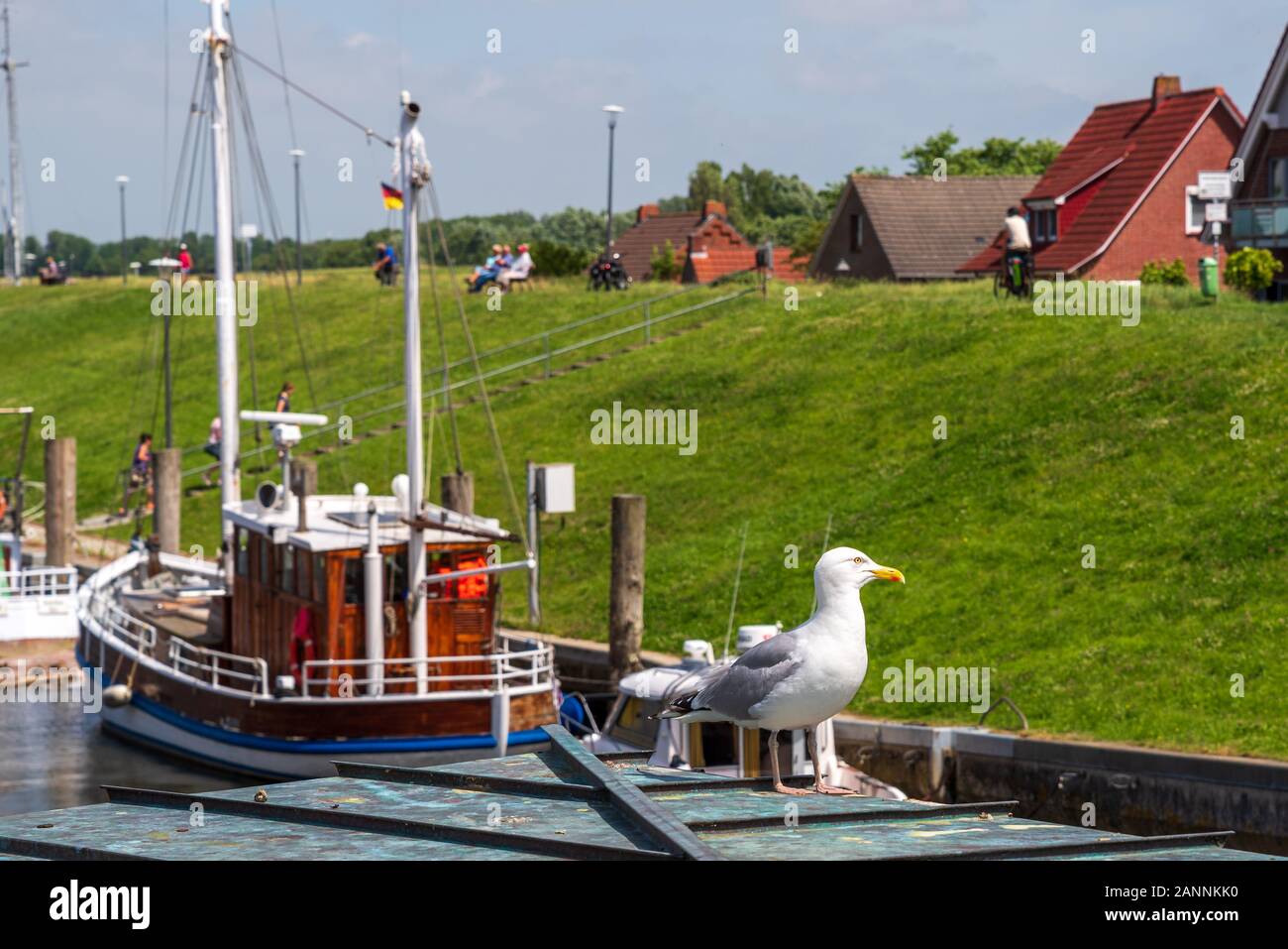 A seagull in the foreground, fishing boat and unrecognizable persons in the background Stock Photo